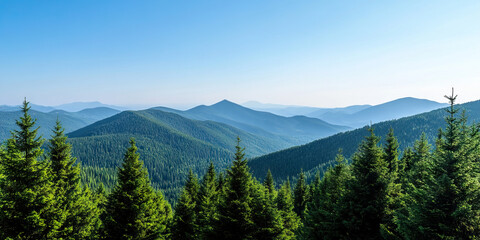 Fototapeta premium Panoramic View of Mountain Range and Evergreen Forest