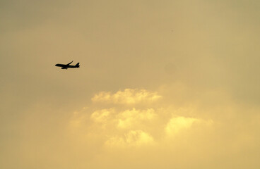A plane flying over the golden clouds