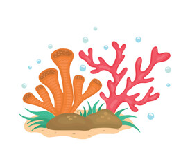 Vector illustration of marine corals. Drawings for design, banners, books, marine and travel magazines. Stock illustration.