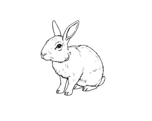 Delicate watercolor painting style line art illustration of a t, translucent washes, fluid brushstrokes, black and white, clear background, easy to color, Vector.