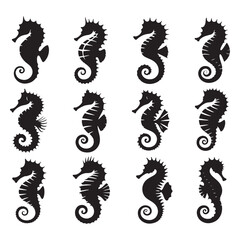 Serene Seahorse silhouette, bringing elegance to marine art - Seahorse illustration - Minimalist Seahorse vector - Marine silhouette
