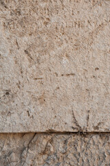Ancient background with old brick wall and dry plant