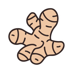ginger root icon design