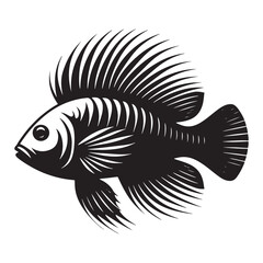 Majestic Wrasse fish silhouette, perfect for artistic projects - Wrasse fish illustration - Minimalist Wrasse vector - Fish silhouette
