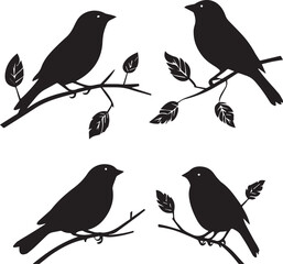 Four birds on leaves branch 