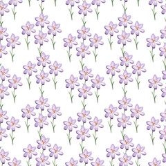 Seamless pattern of spring flowers and leaves. Watercolor crocuses. Hand painted, isolated on white background.