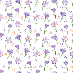 Seamless pattern of spring flowers and leaves. Watercolor crocuses. Hand painted, isolated on white background.