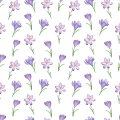 Seamless pattern of spring flowers and leaves. Watercolor crocuses. Hand painted, isolated on white background.
