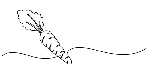 Simple carrot in continuous one line art drawing icon isolated on white background vector illustration, Growing carrot plant minimalist outline vector, one line drawing carrot vegetable vector pro. 