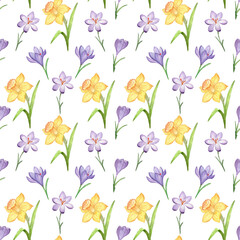 Seamless pattern of spring flowers and leaves. Watercolor daffodils and crocuses. Hand painted, isolated on white background.