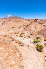 オリャグエ火山を望む荒涼な大地 - ボリビアからチリへ