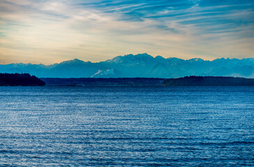 Burien Park Landscape 3