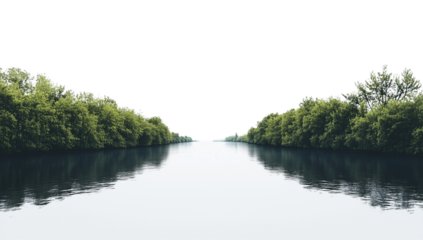  a green forest on the river bank isolated on a transparent background
