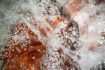 Ice texture with cracks, bubbles and frozen leaves for computer graphics, texturing, compositing or as a background