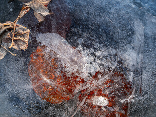 Ice texture with cracks, bubbles and frozen leaves for computer graphics, texturing, compositing or as a background