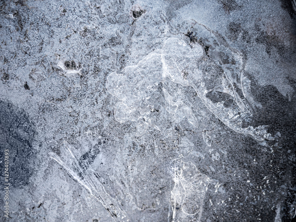 Poster ice surface, texture with cracks, bubbles and frozen leaves for computer graphics, texturing, compos