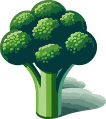 Realistic Vector Broccoli Logo – Fresh Green Vegetable Illustration