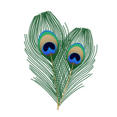Mayilpeeli, peacock feathers or mor pankh isolated on transparent background, png image, for festival of vishu and janmashtami  © Ammu
