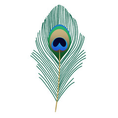 Mayilpeeli, peacock feather or mor pankh isolated on transparent background, png image, for festival of vishu and janmashtami  © Ammu