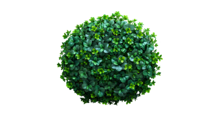 Green Lush Foliage Round Bush Top View, Fresh Botanical Plant for Spring and Summer Themes, isolated on transparent background.