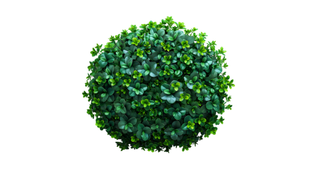 Green Lush Foliage Round Bush Top View, Fresh Botanical Plant for Spring and Summer Themes, isolated on transparent background.