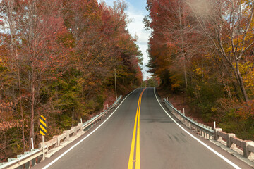 Fototapeta premium Road flanked by tall trees, a solitary yellow line dividing lanes, under a clear blue sky.