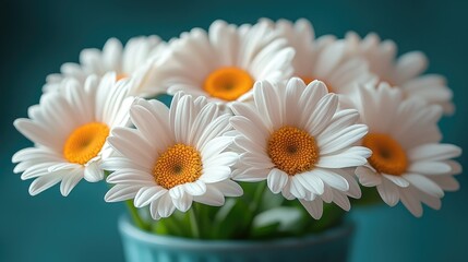 Obraz premium A Bouquet of Delicate White Daisies in a Teal Pot