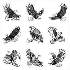 Black Bird Silhouettes Set - Vector Illustration of Birds on Branches and Standing