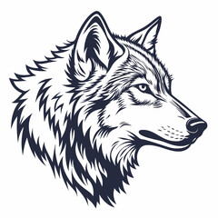 vector illustration of wolf