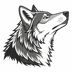 wolf vector illustration