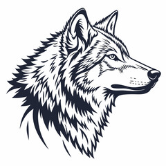 wolf vector illustration