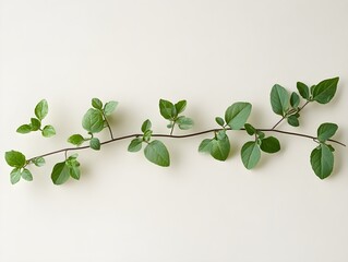Obraz premium A fresh green foliage branch illustrates spring's eco growth