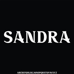 Elegant beautiful sans serif alphabet display font vector illustration