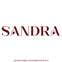 Elegant beautiful sans serif alphabet display font vector illustration