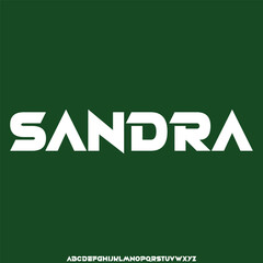 Elegant beautiful sans serif alphabet display font vector illustration