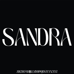 Elegant beautiful sans serif alphabet display font vector illustration