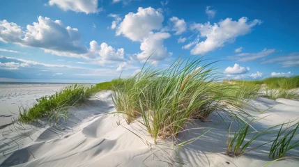 Poster sanddunes with grass
