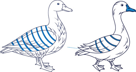 A white duck with blue stripes 