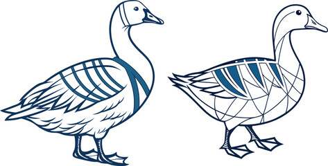 A white duck with blue stripes 