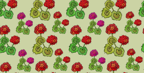 Seamless pink geranium flowers pattern on green background