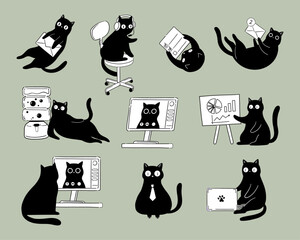 Funny Business Cats – Office Life and Remote Work