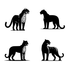 Standing Jaguar Silhouette Vector Set – Majestic Big Cat Illustrations for Logos & Design