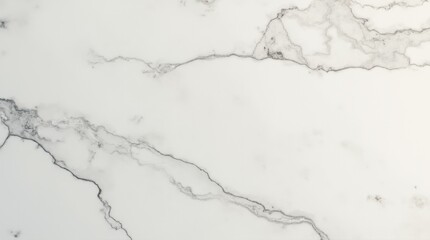 Veined Marble Texture with Delicate Lines