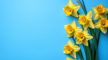 Obraz premium Yellow Daffodils on a Blue Background - Generative AI