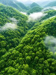 Misty forest mountains from above. Aerial view.  Possible use Nature wallpaper