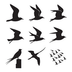 Silhouettes of wild birds in flight Raven Silhouette Pigeons Flying Silhouettes 6 Silhouettes – Birds