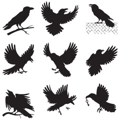 Silhouettes of wild birds in flight Raven Silhouette Pigeons Flying Silhouettes 6 Silhouettes – Birds