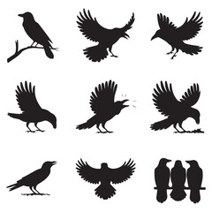 Obraz premium Silhouettes of wild birds in flight Raven Silhouette Pigeons Flying Silhouettes 6 Silhouettes – Birds