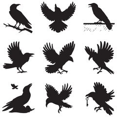 Obraz premium Silhouettes of wild birds in flight Raven Silhouette Pigeons Flying Silhouettes 6 Silhouettes – Birds