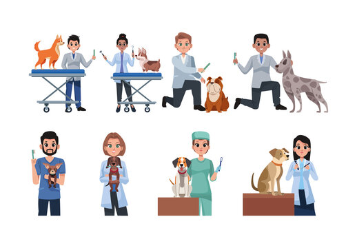 Colorful Veterinarian And Dog Care Characters Illustrations Set